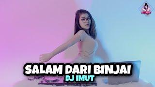 DJ SALAM DARI BINJAI || ASIK BUAT PARGOY (DJ IMUT REMIX)