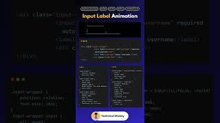 Input Label Animation | HTML & CSS