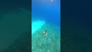 freedive loop#shortsfeed#feedshorts #tour#trip#snorkeling #turtle#gili # short # video loop # loop