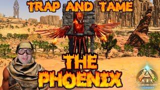 How to TRAP & TAME the Phoenix | Ark Survival Ascended