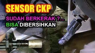 SENSOR CKP || Perawatan Rutin... Dibongkar & Dibersihkan Cling 3x || Toyota Vios Limo