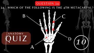 Can You Pass This Skeletal Anatomy and Physiology Quiz? 50 Questions with Answers | #quiz #anatomy
