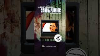 Sandy e Junior Internacional #photobook