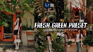 Fresh Green Aesthetic Lightroom Preset ~ Moody Green Free Lightroom mobile Preset