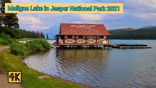 Maligne  lake in Jasper National Park, Alberta, Canada on Summer 2021 #jasper