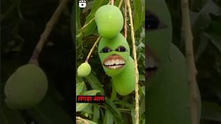 Sunil aur dekho langda aam funny video comedy  #comedy #funny #shorts #youtube #reels #viral#video