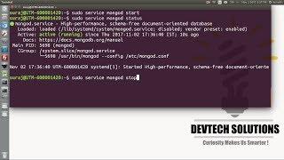 How To Install And Run MongoDB In Ubuntu Linux