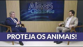 Dezembro Verde: Combate aos Maus-Tratos e Abandono de Animais