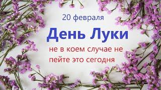 20 февраля народный праздник День ЛУКИ. Что нельзя делать. Народные традиции и приметы