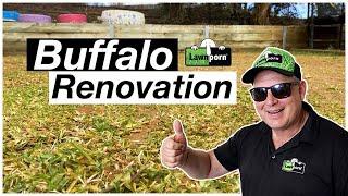 Buffalo Renovation // Start to Finish // Using Simple Tools // St Augustine/Sir Walter Buffalo Reno