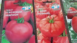 Показываю и говорю правду. Лучшие гибридные томаты для теплиц. Вкусные и крупные.