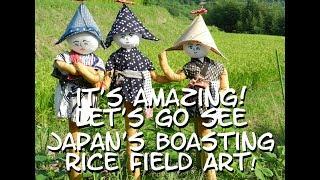 Japanese Event "Rice field art" is surprising