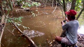 Mancing di tengah hutan.!!! Umpan jatuh ikan nya langsung padarebutan