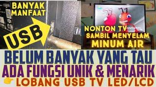 FUNGSI UNIK POINT USB DI TV LED @PRIMATEKNIK