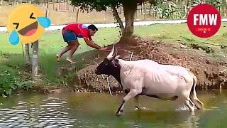 Funny & Hilarious People's Life  #112 - Try not to Laugh | Funny Fails Compilation 2024