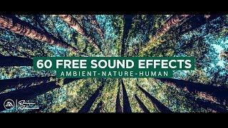 60 FREE Ambient Natural & Human Sounds | Cinematic Sound Effects