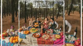 3. Jenny and the Mexicats - Bailando Con las Farolas (Audio Oficial)