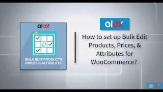 How to set up Bulk Edit Products, Prices & Attributes for WooCommerce?