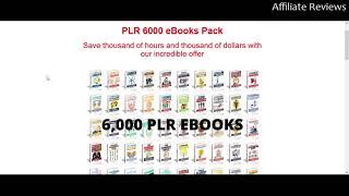 Honest Review: PLR 6000 eBooks Pack