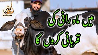 SURPRISING SODA! Naseeb Ke Soday Kese Hote Hain? Rohaib Bhai or Kohinoor Cattle Farm Ka Shouq