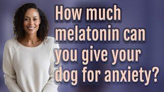 How much melatonin can you give your dog for anxiety?