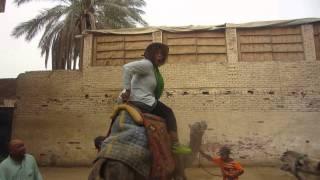 GloZell's Camel Challenge - GloZell