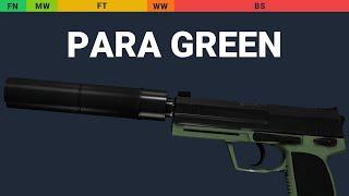 USP-S Para Green - Skin Float And Wear Preview