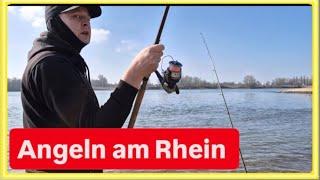 Gibt es hier FISCHE ? ANGELN am RHEIN 2025 🫣