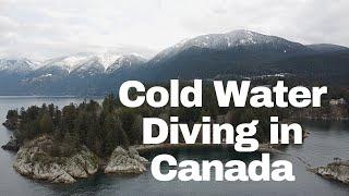 Diving in Cold Water | Vancouver BC, Canada