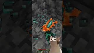 Pop Cat Minecraft Meme