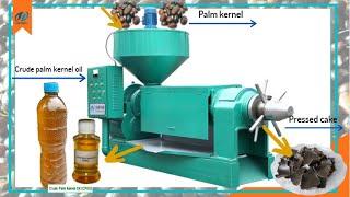 Screw palm kernel oil press, palm kernel oil extraction machine working video