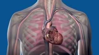 How do different cardiac rhythm devices work?