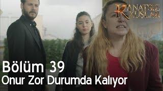 Kanatsız Kuşlar 39. Bölüm - Onur zor durumda kalıyor