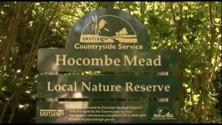 Hocombe Mead Conservation Project, The Grasslands Trust