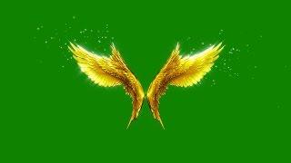 Green Screen Angels Flapping Gold Wings Particles - Footage PixelBoom