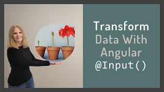 Transform Data with Angular @Input()