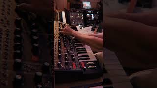 Ambient jam, Moog matriarch with fender telecaster and Kemper rack
