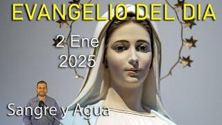 Evangelio Del Dia Hoy - Jueves 2 Enero 2024- Sangre y Agua