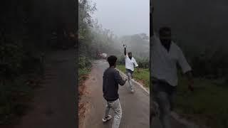 Elephant  in munnar padayappa elephant #shortsvideo #shortvideo