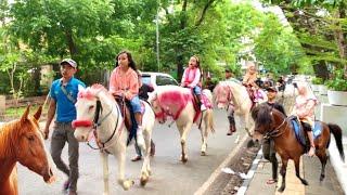 wisata kuda di cisangkuy bandung | kuda tunggang  | lagu populer Masha and the bear Cegukan