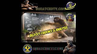 Bigfoot Evidence and Analysis AUDIO EDITION [Squatch-D TV Ep. 171]