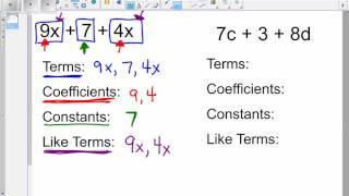 Coefficients, Constants, Terms, and Like Terms Vocab Review Video