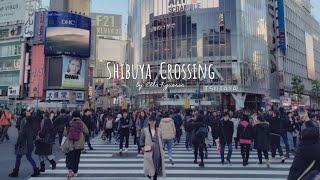 a day in my life in japan: shibuya crossing, hachiko and shibuya 109 at SHIBUYA STATION TOKYO JAPAN