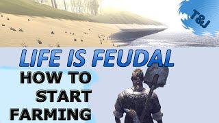 Life is Feudal - How to start farming