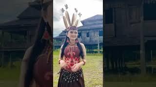 Pesona Cantik Gadis Suku Dayak #shorts #adatdayak #seni