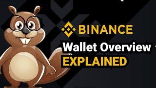Binance Wallet Overview Explained