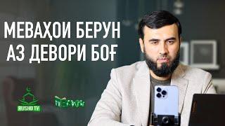 Mеваҳои берун аз девори боғ