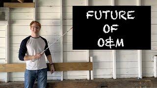 What is the Future of Orientation and Mobility for the Blind and Visually Impaired