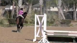 Kimberden Eq. Horse "Cody"