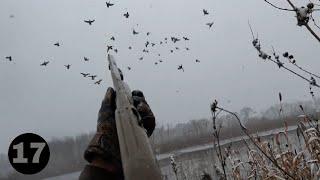 Huge Flocks of Mallards In the Snow!!! : Duck Hunting 2023